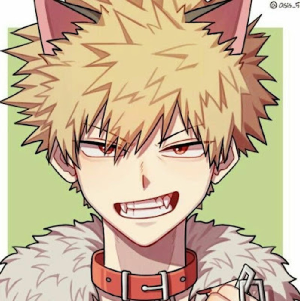 Meet your Posher, Bakugo world
